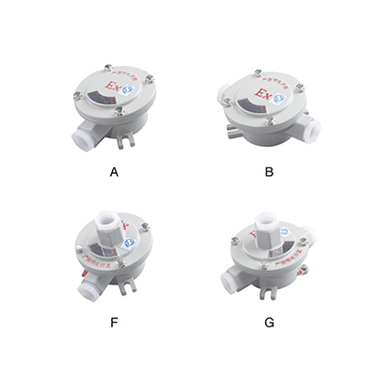 AH系列防爆接线盒( IIc、tD)